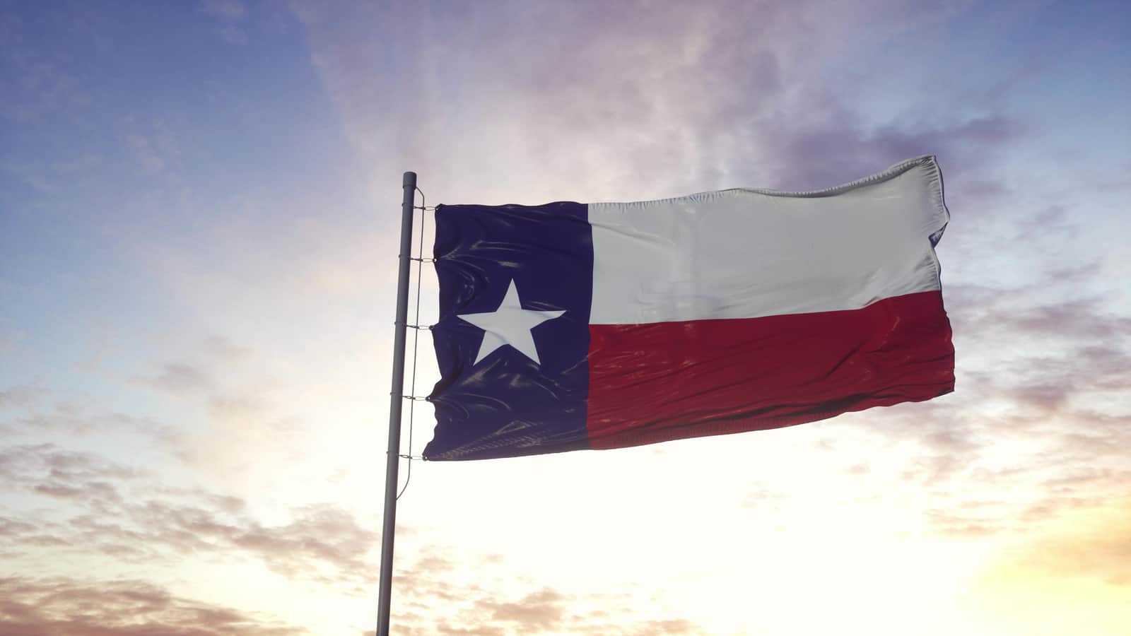 Texas State Flag